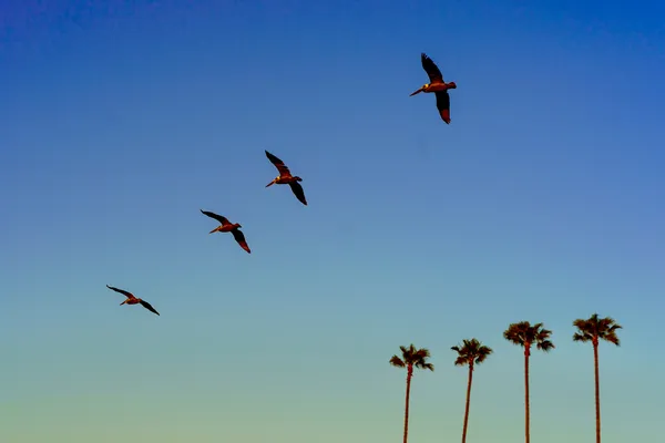 Photography by Mark Hursh