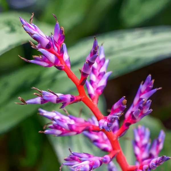 Photography by Mark Hursh