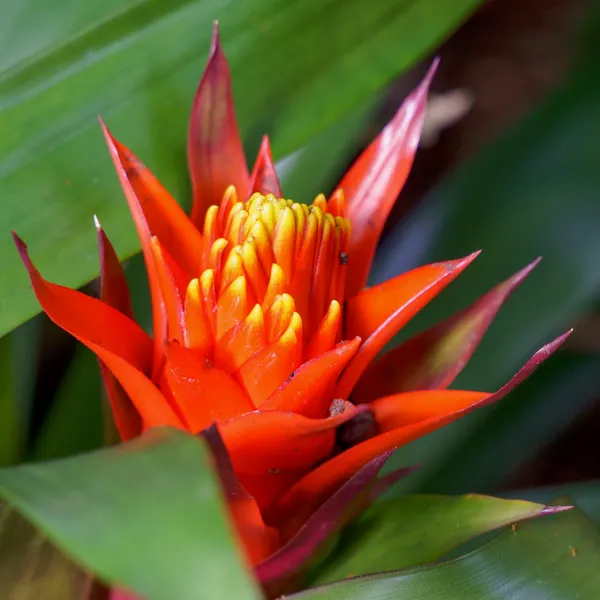 Photography by Mark Hursh